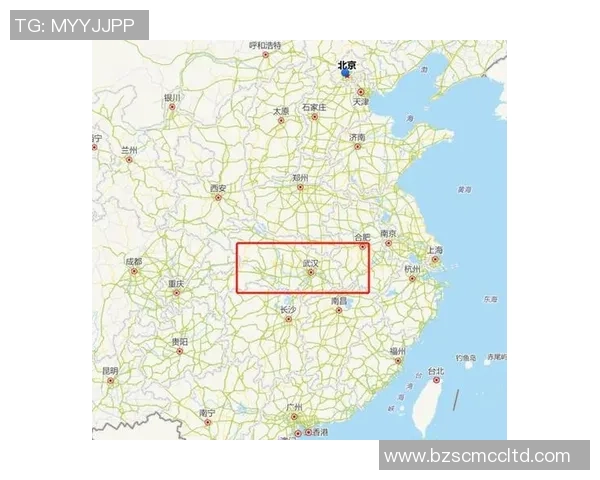 武汉排球队与南京排球队的赛后复盘分析团队协作的成功与不足之处