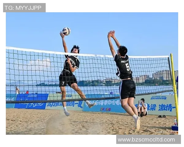 北京排球队的战术节奏揭秘与深度分析排球竞技的魅力与挑战